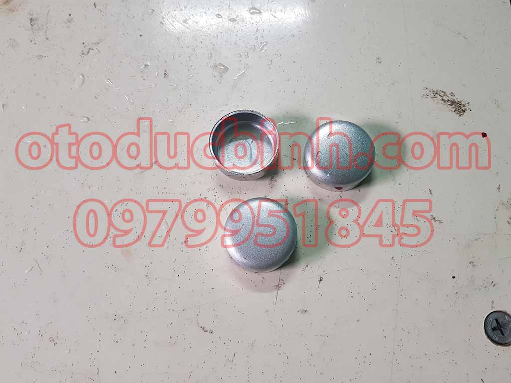 Nút nước động cơ Nubira,Cruze,Lacetti,Gentra (34 mm)