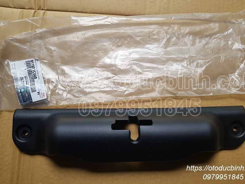 Ốp che khóa capo Hyundai Getz