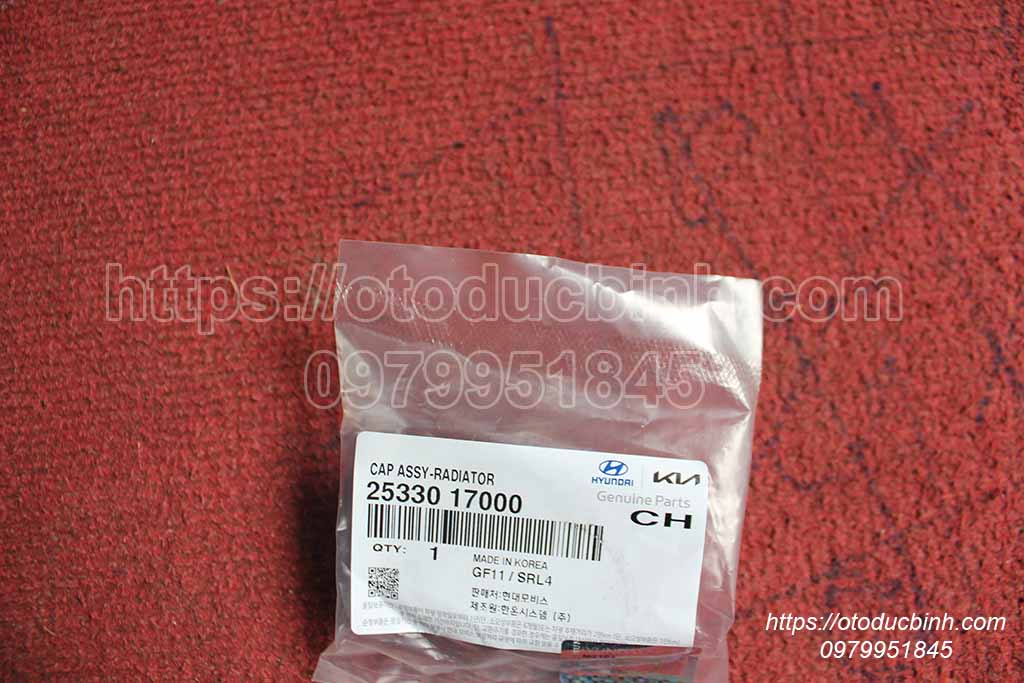 Nắp két nước Kia , Hyundai