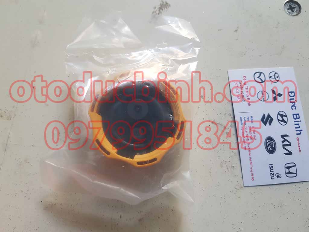 Nắp két nước phụ Daewoo Matiz 3, Captiva 94539595