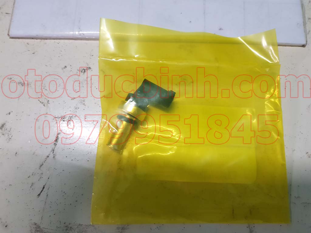 Cảm biến nhiệt độ nước Lacetti, Cruze 2009-2012